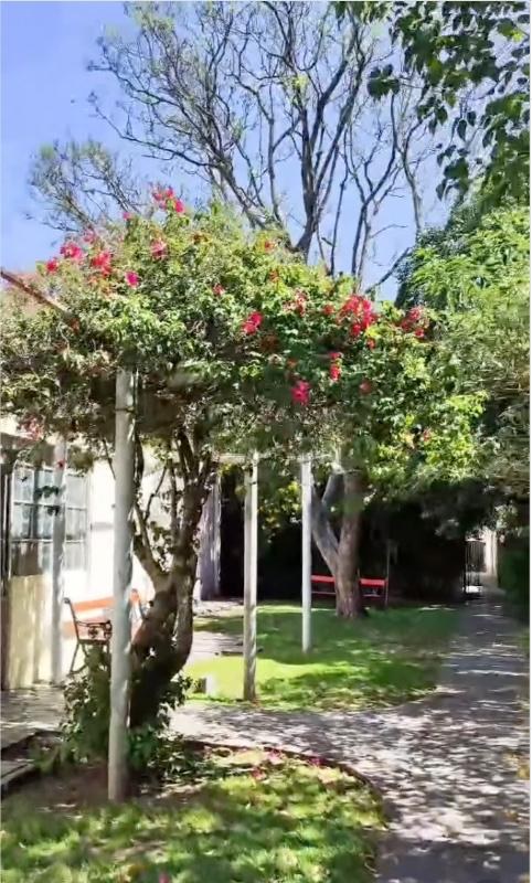 Galería y flores del espacio de Expand Portal Buenos Aires