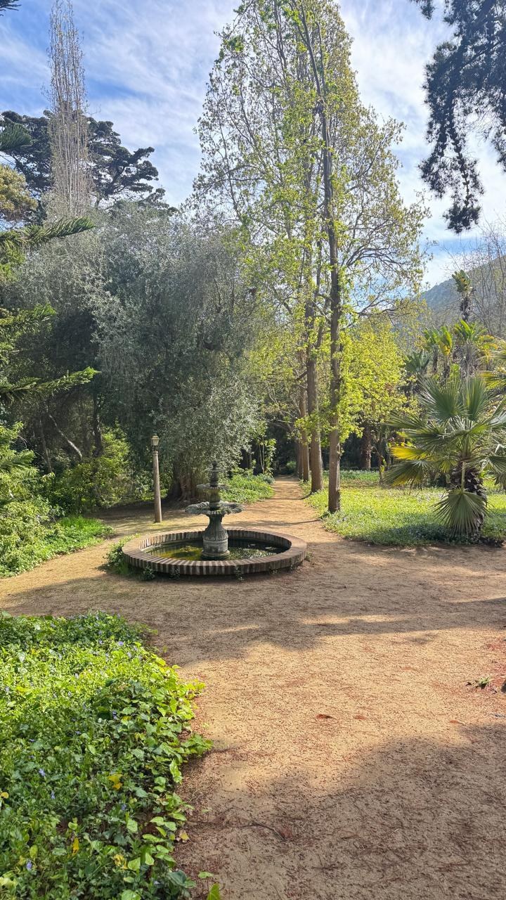 Fuente y jardín del espacio de Expand Portal Santiago de Chile